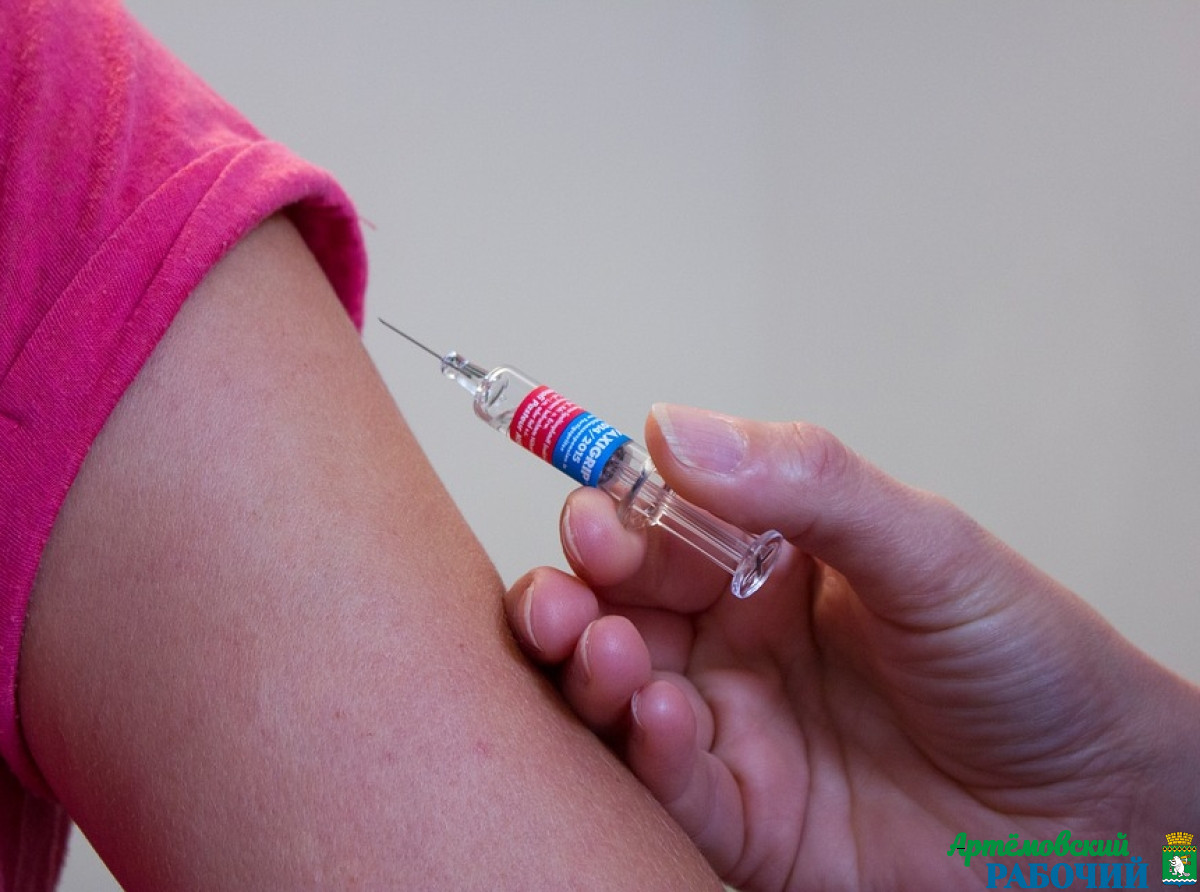 Фото с сайта https://pixabay. Можно записаться на вакцинацию в храме