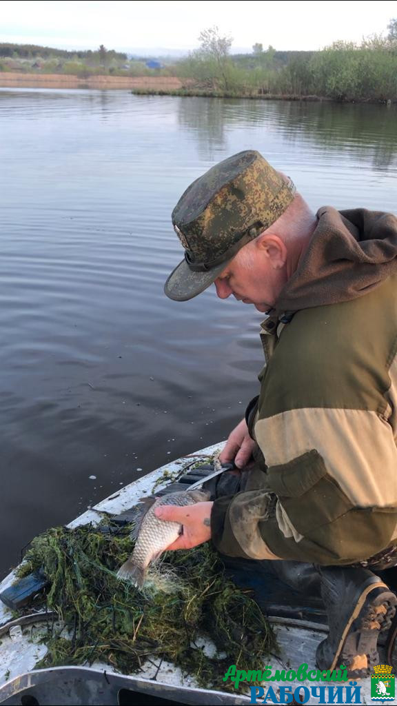 Рыба на нерест, браконьеры - на водоем