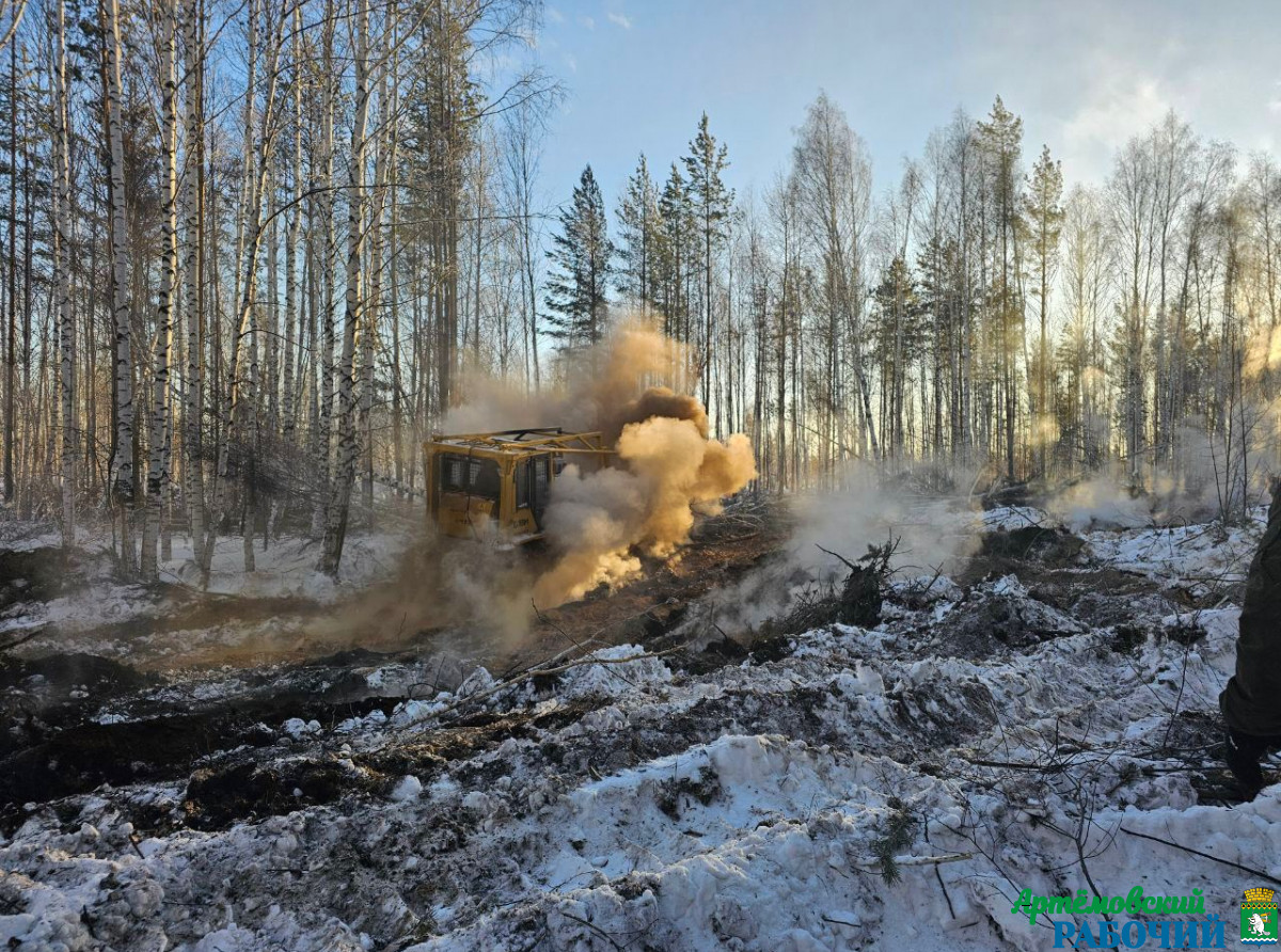 Фото предоставлено специалистом Егоршинского участка Уральской базы авиационной охраны лесов
