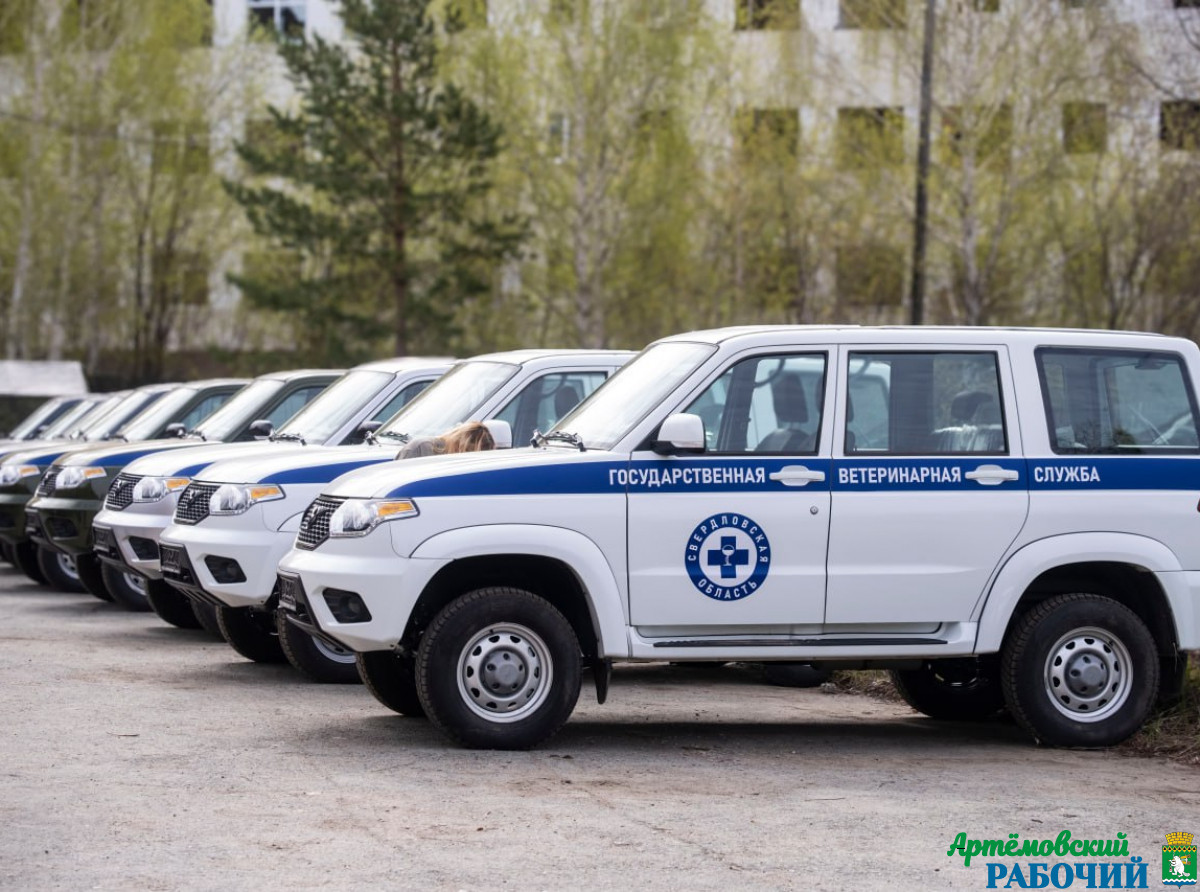 Фото предоставлено ДИП