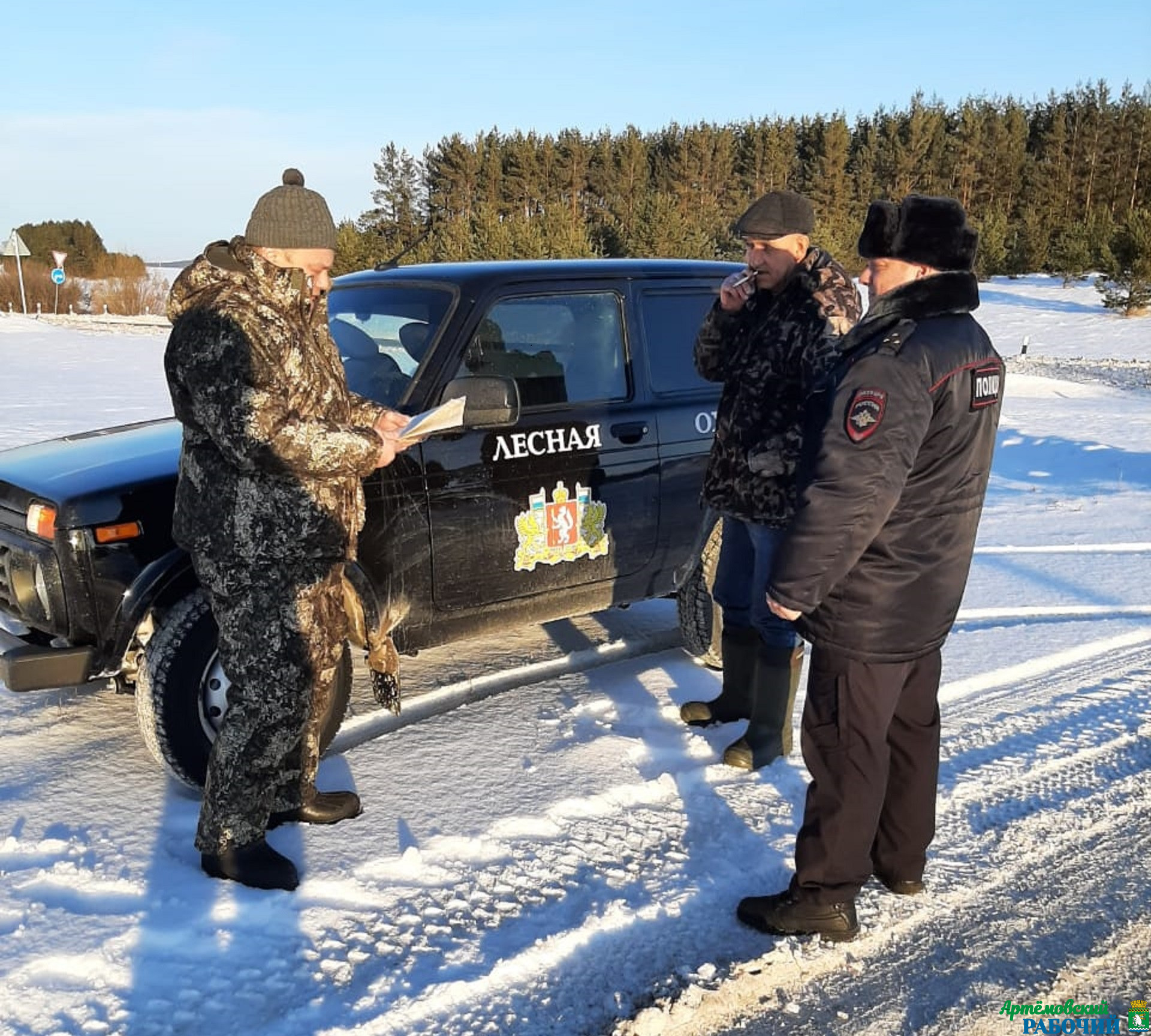 Штраф — до 500 тысяч рублей: на Урале ловят браконьеров, которые рубят новогодние ели 