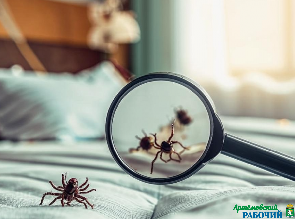 Фото: https://ru.freepik.com/free-photo/