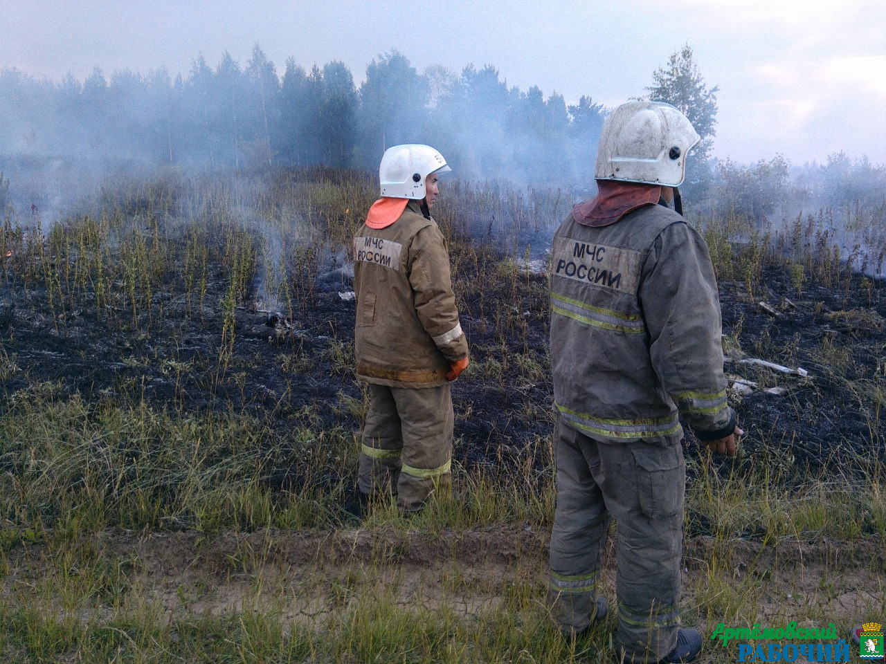 Пожарная тревога в Артемовском: сосны горели, как свечки