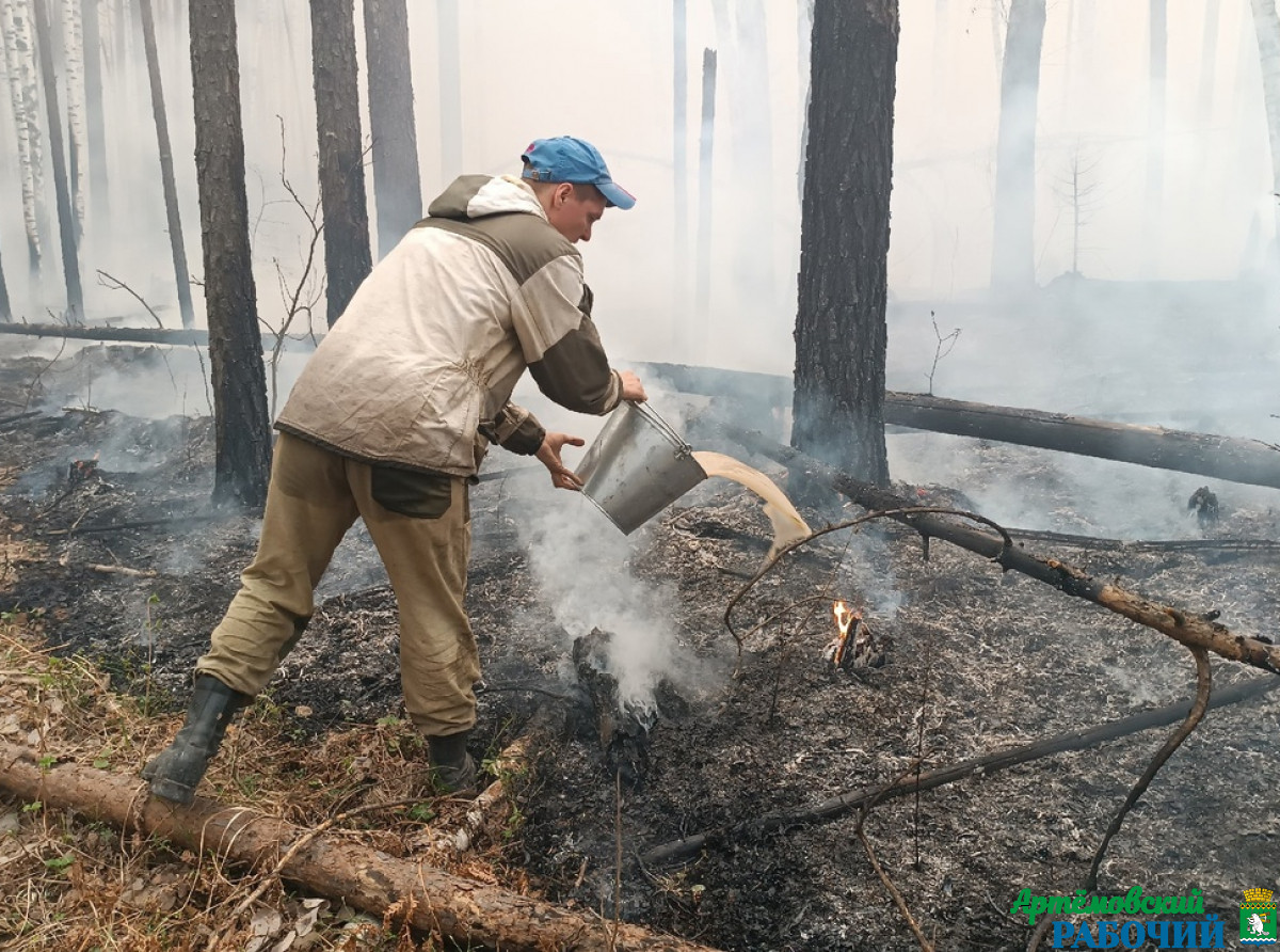 Фото Василия Ергашева. По данным глав муниципалитетов, в большинстве территорий на сегодняшний день отсутствует угроза распространения огня на населённые пункты.