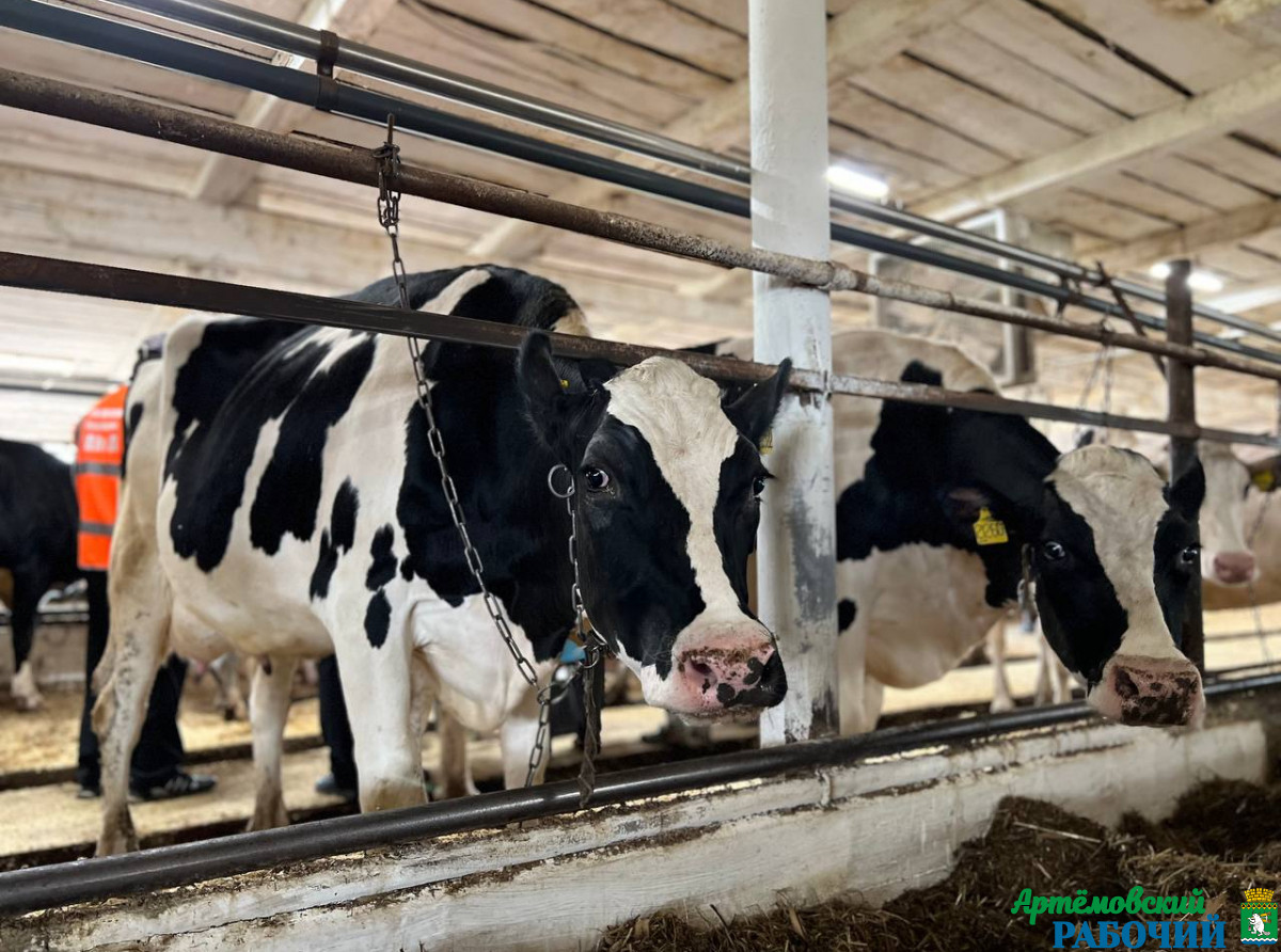 Фото: Анна Мантурова