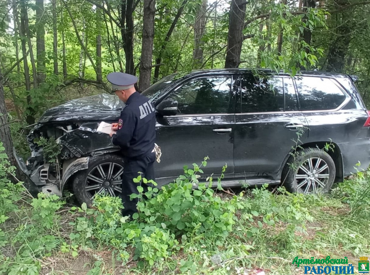 Фото предоставлено автором
