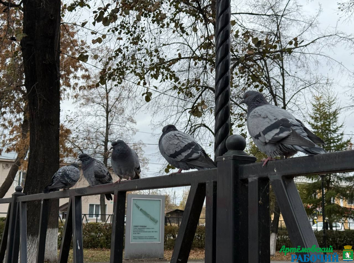 Фото: Анна Мантурова