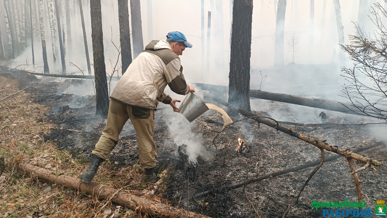 Евгений Куйвашев поручил усилить профилактику пожаров и привлечь для тушения огня в регионе дополнительную технику