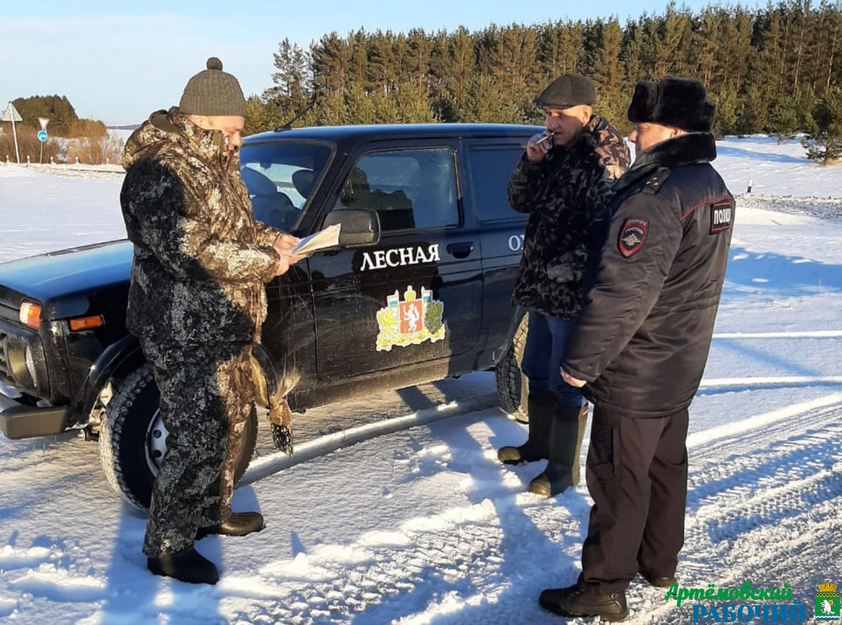 Фото ДИП Свердловской области. Специалисты лесоохраны пресекают незаконные рубки. 