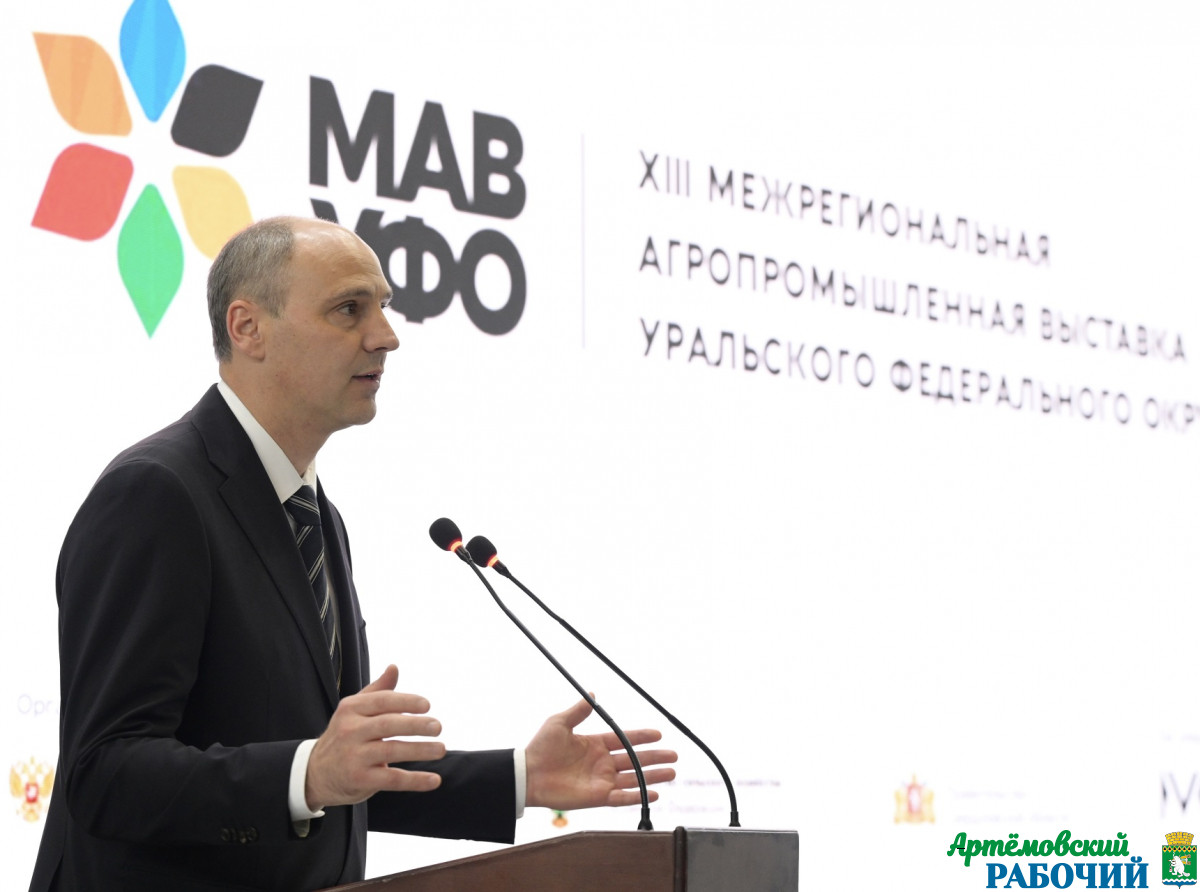 Фото: предоставлено ДИП