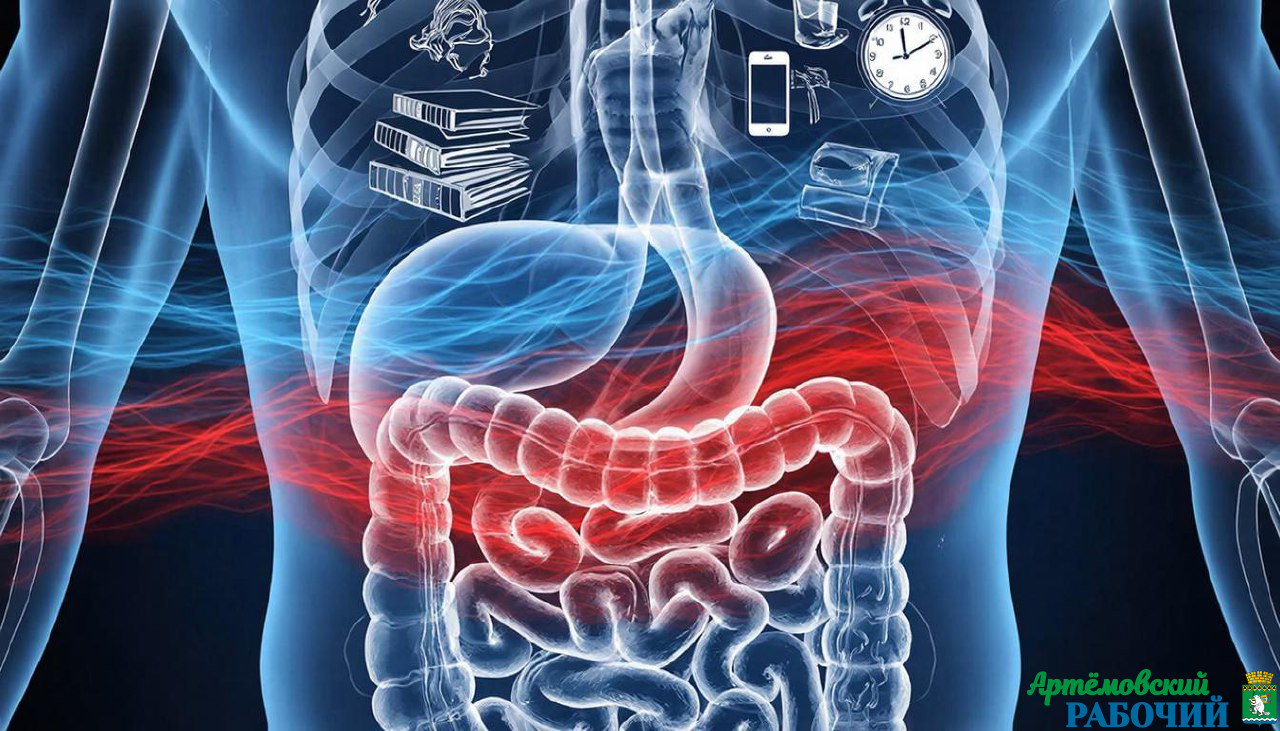 Кишечник — наш «второй мозг»