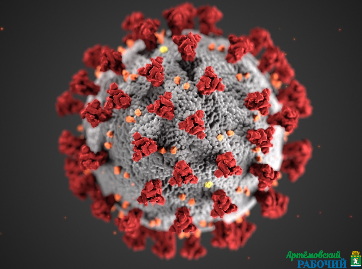 Фото с сайта https://www.pexels.com. Новый штамм вируса опасен тем, что очень заразен. 