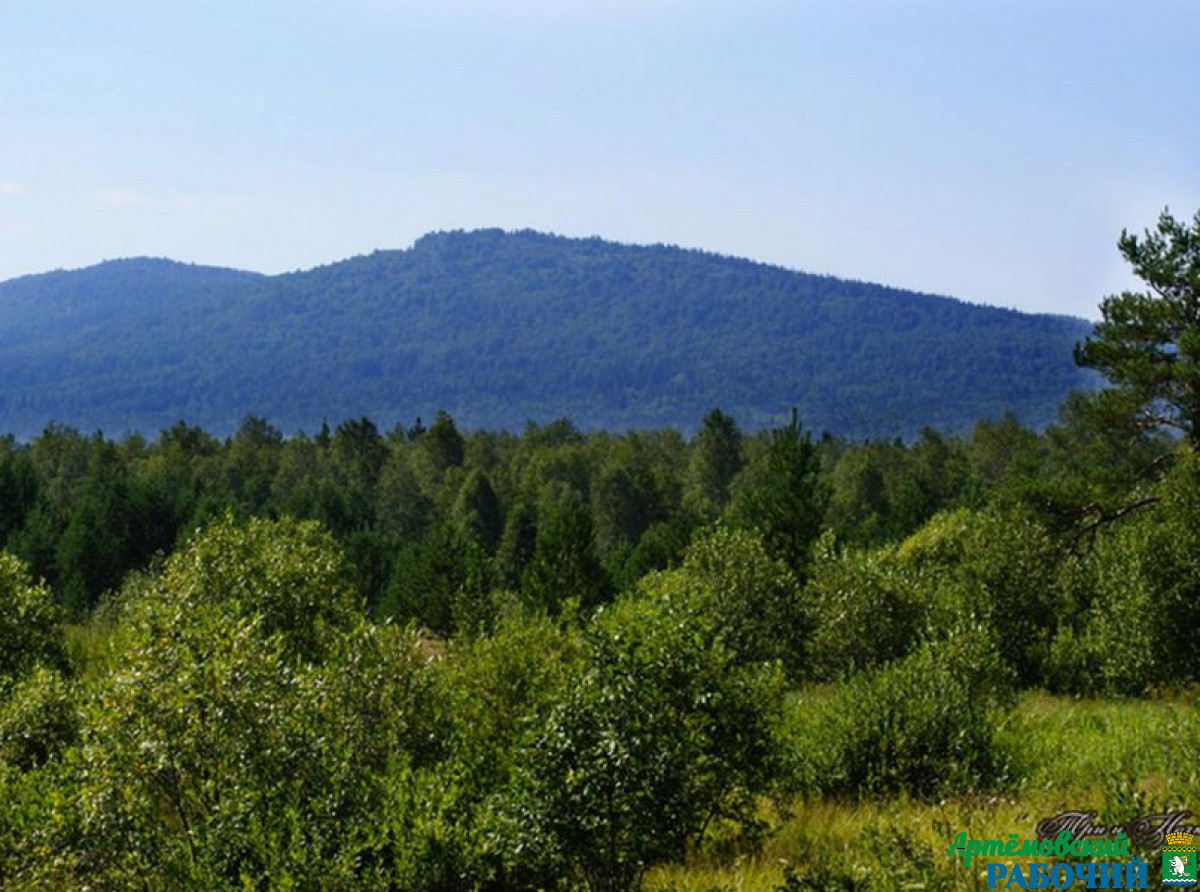 Фото предоставлено ДИП