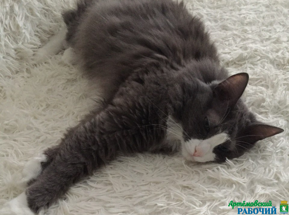 Фото: Анна Мантурова