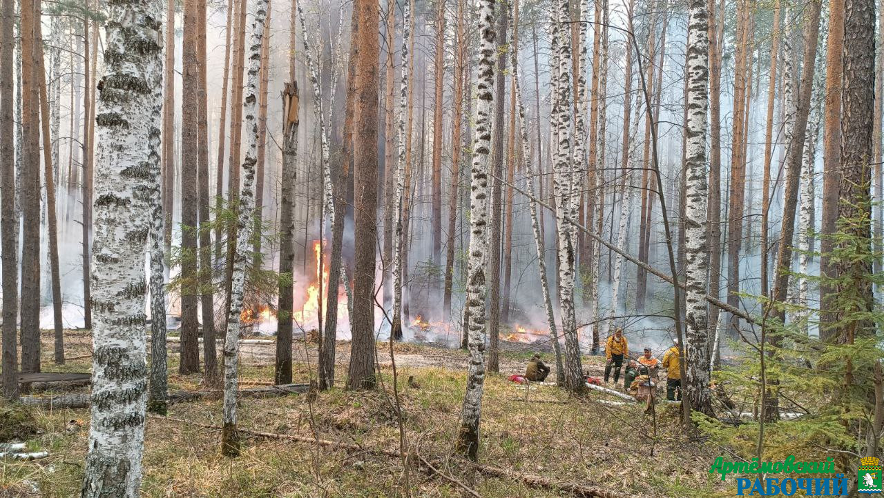 Лесные пожары тушат, но они появляются снова