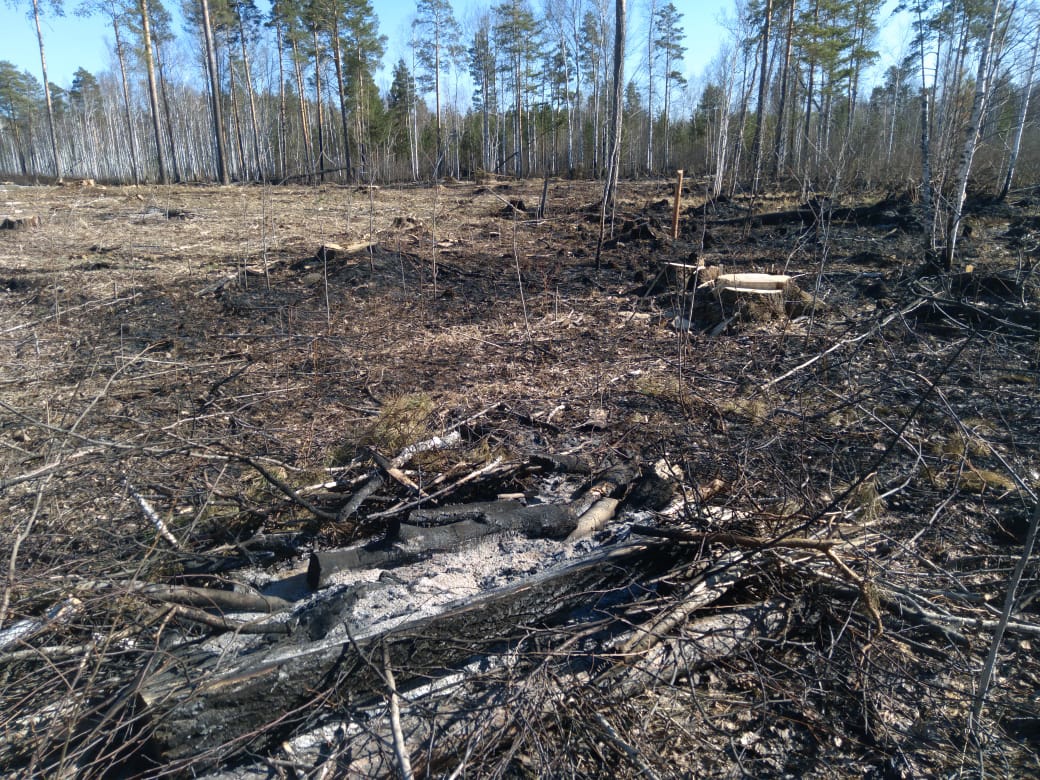 Особый противопожарный режим