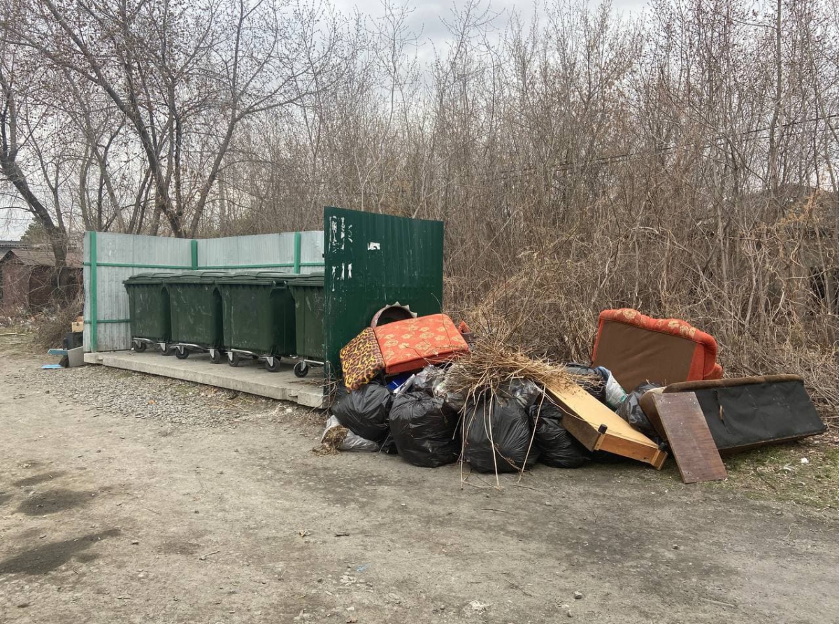 Стоит заглянуть поглубже во дворы, чтобы понять, насколько загажен город. Посмотрите на эту свалка у контейнерной площадки для сбора ТКО в одном из дворов по ул. Мира. Старая мебель появилась здесь буквально на днях. Но масштабная помойка здесь образовалась очень давно.