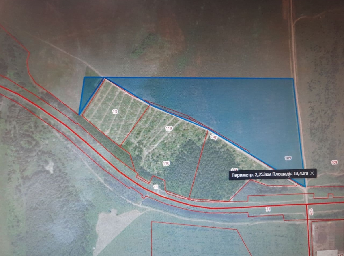 Фото Галины Таскиной. Скрин карты с сайта Росреестр. Синим цветом выделена необходимая площадь участка под кладбище