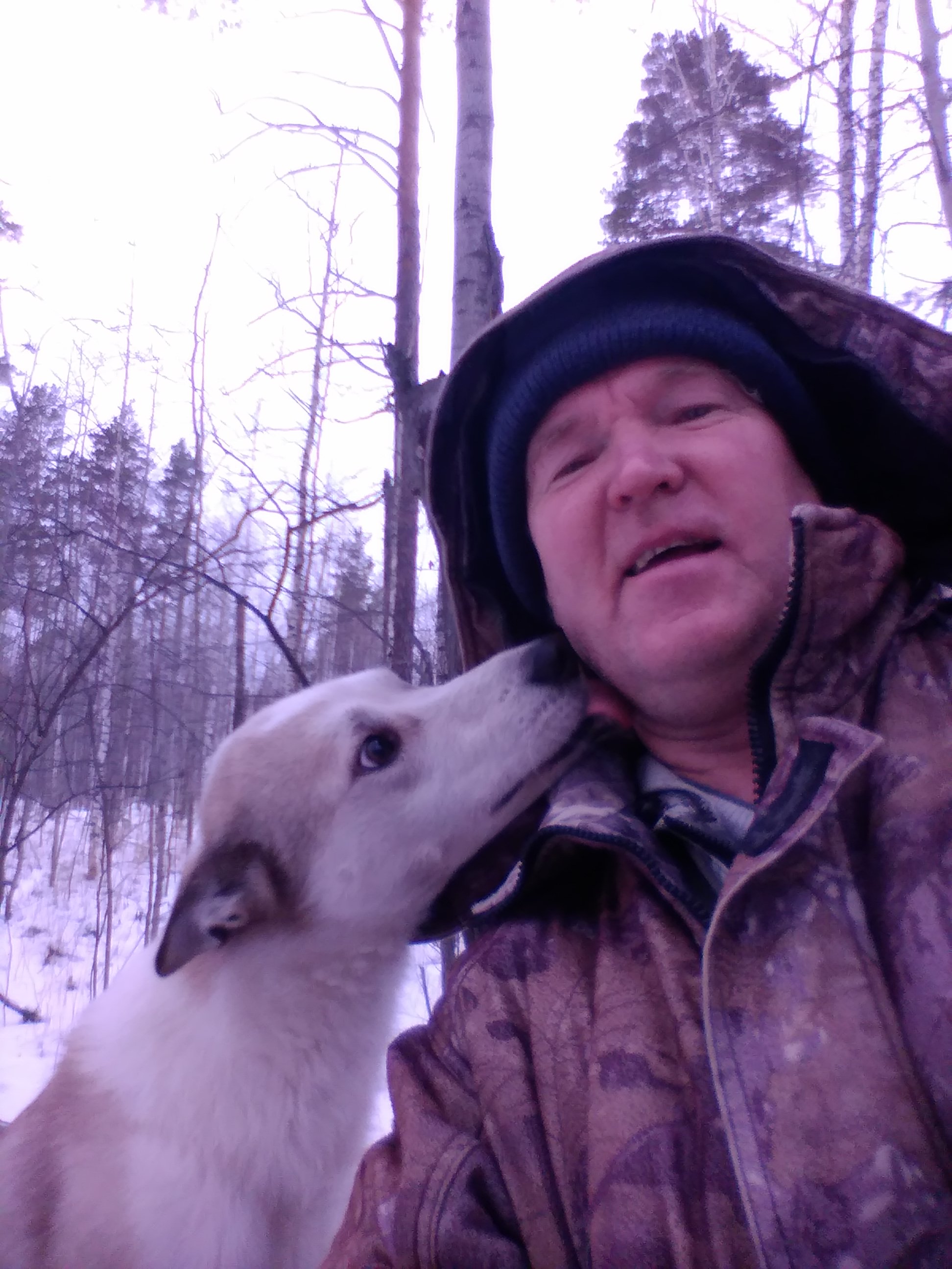 Собаки покажут свою стать