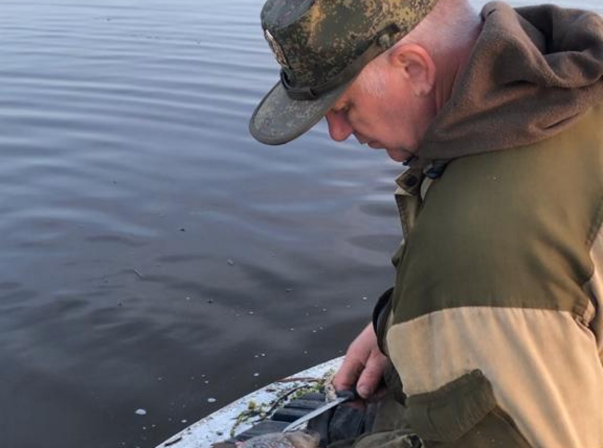 Фото АООиР. В сетях было много погибшей рыбы.