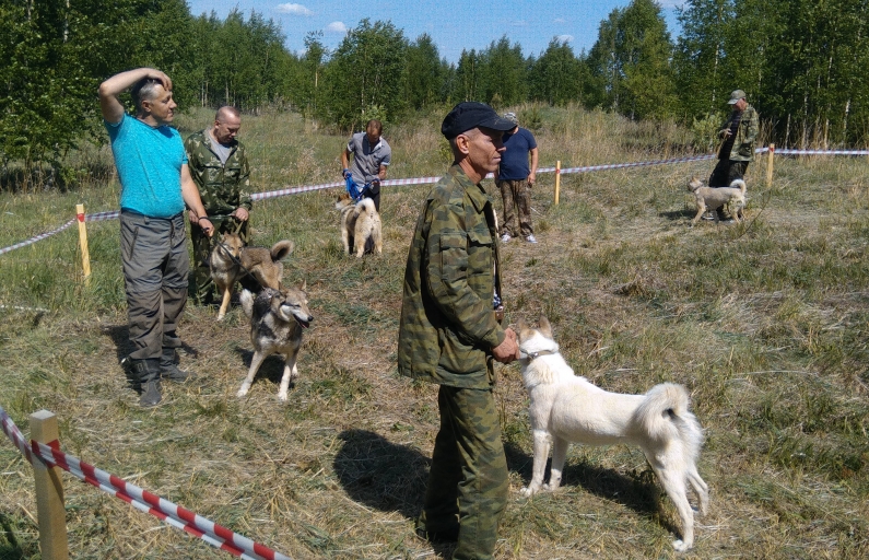 Охотники привели своих питомцев, чтобы оценить экстерьер 