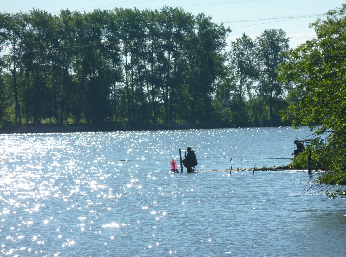 Жаркая погода может смениться ненастьем
