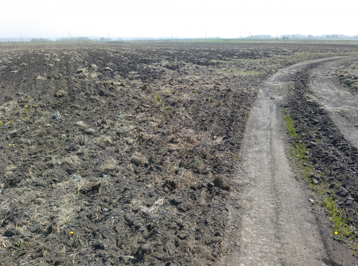 Работы по вспашке заброшенных земель начались 21 мая