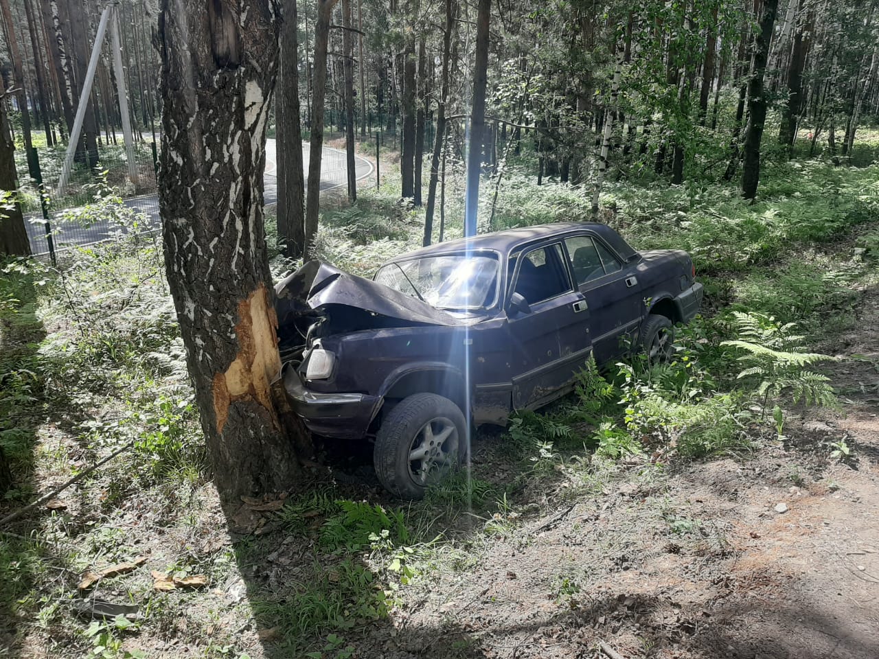 Опасные маневры: «Волгу» остановило дерево