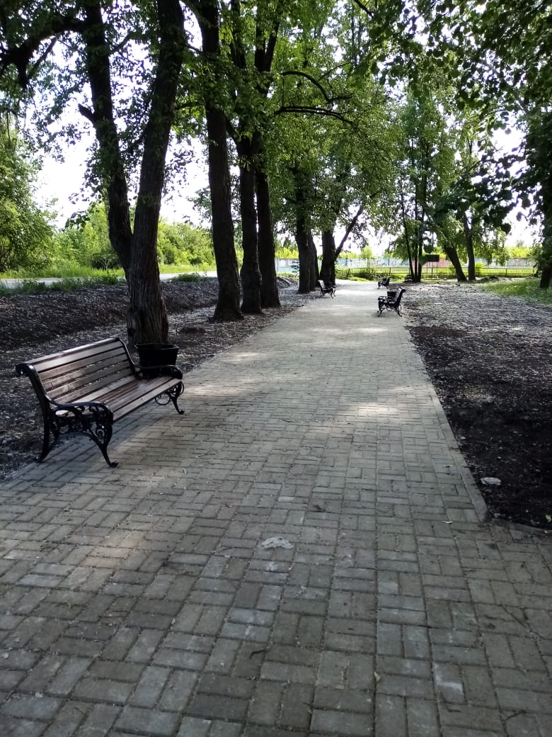 Убрать нельзя оставить. Как артемовскому поселку сберечь аллею от вандалов?