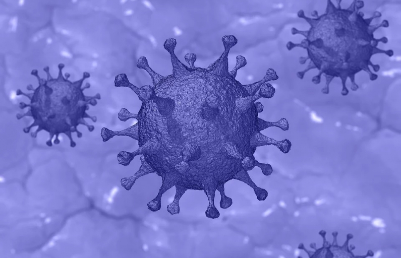 Фото с сайта https://pixabay. В стране очередной всплеск заболеваемости коронавирусом
