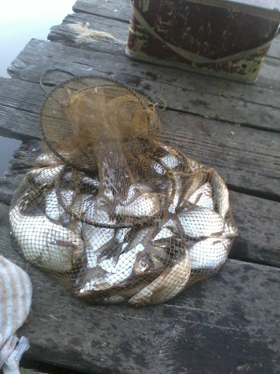 Артемовцам обещают клевую рыбалку