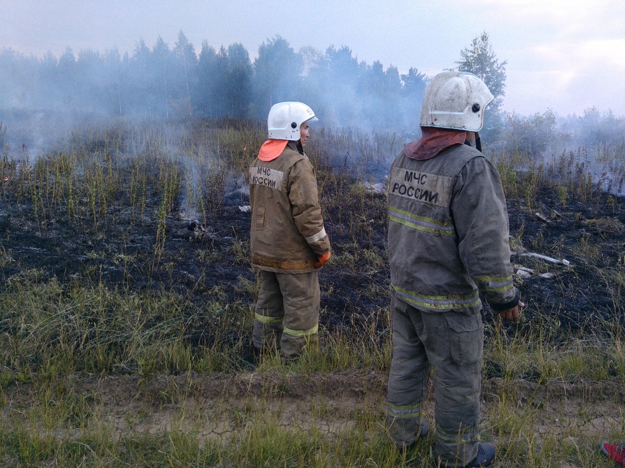 Пожарная тревога в Артемовском: сосны горели, как свечки