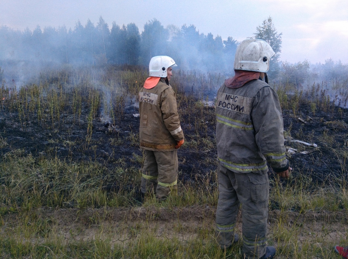 Фото Василия Ергашева. Горели зеленая трава и сосновый лес
