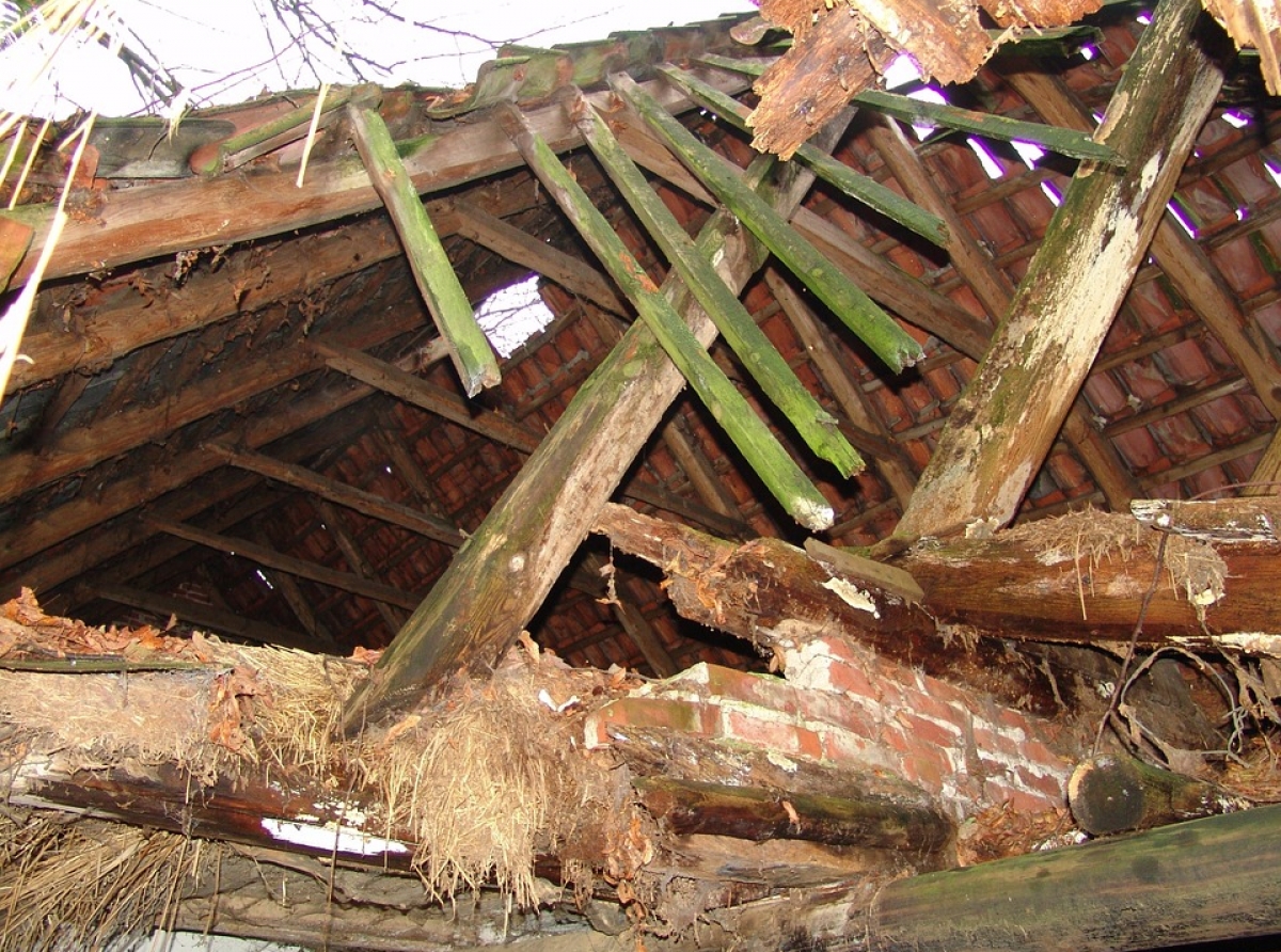 Фото с сайта https://pixabay. Отремонтируют ваш дом или нет, во многом зависит от того, как вы и соседи платят взносы за капремонт