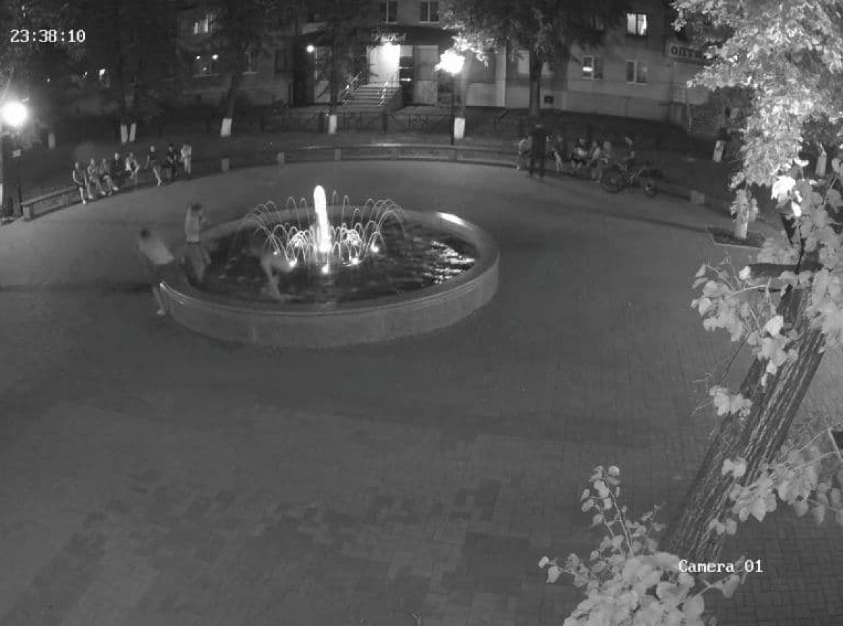 Скрин видео с камер.