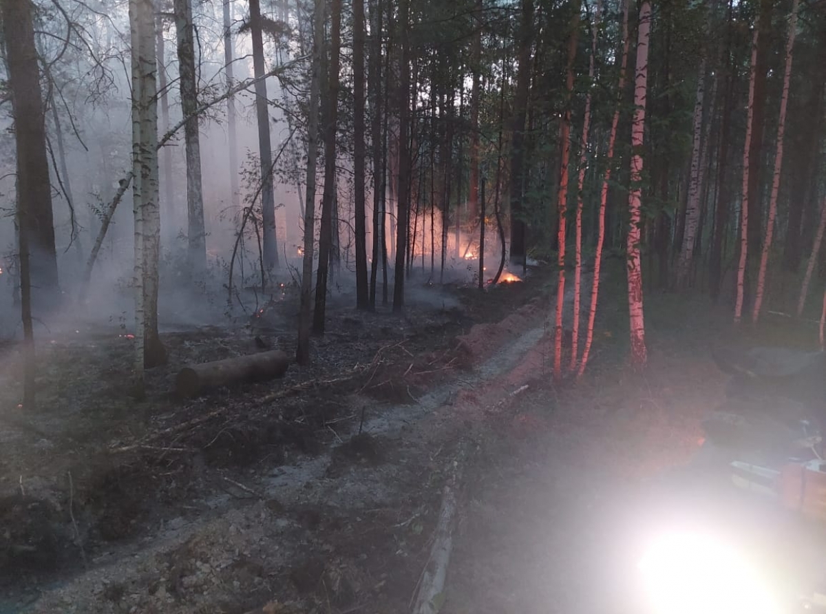 На торфянике огонь уходит в толщу земли