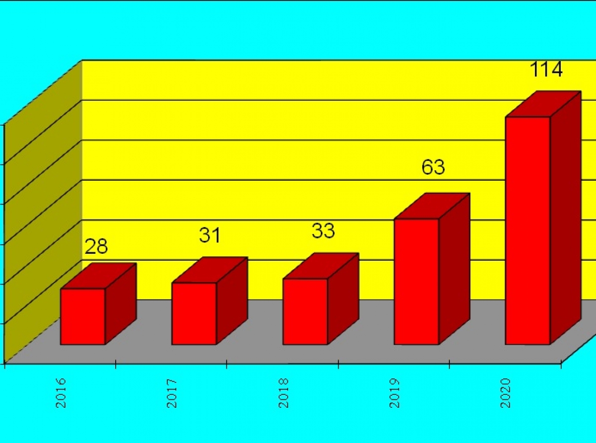 Инфографика предоставлена ОМВД. Тревожную ситуацию вызывают преступления, совершенные путем мошеннических действий. За последние пять лет их число возросло в несколько раз - с 28 до 114 преступлений в год.