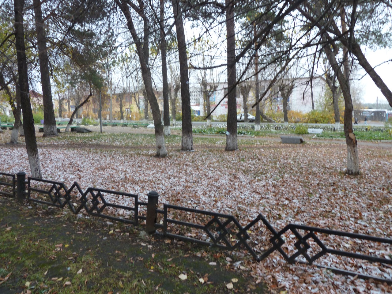 Деньги вернутся в бюджет. "Жилкомстрой" отсудил у подрядчика деньги за сквер