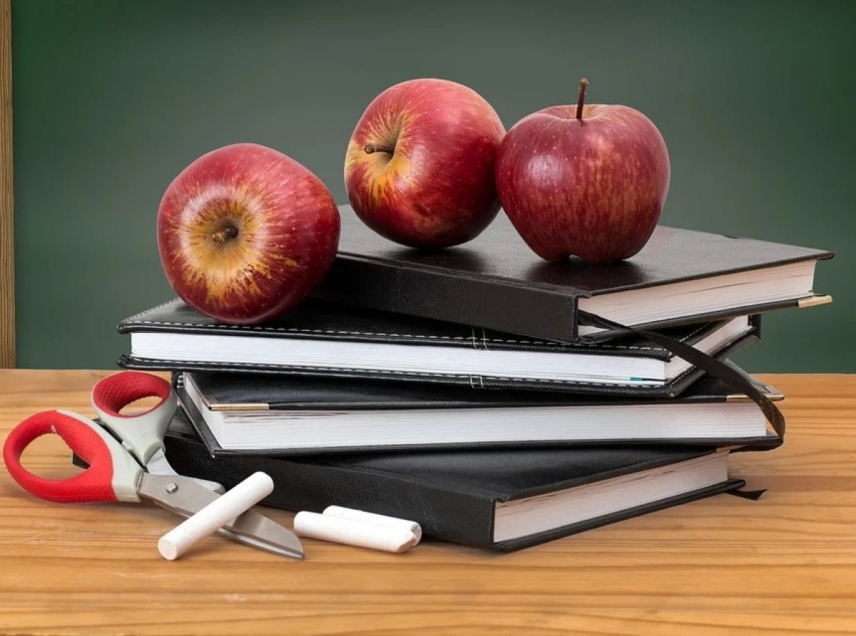 Фото с сайта https://pixabay. Подать заявление можно через МФЦ или непосредственно в самой образовательной организации.