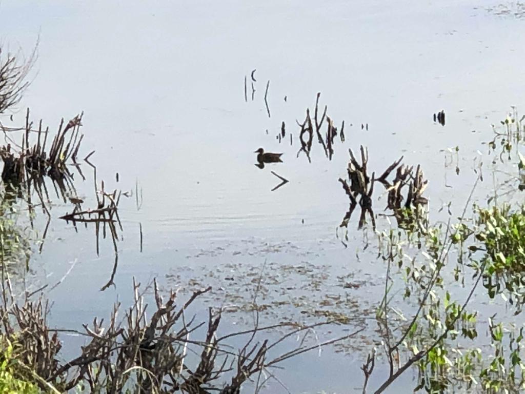 Артемовские охотники готовят ружья: скоро открытие