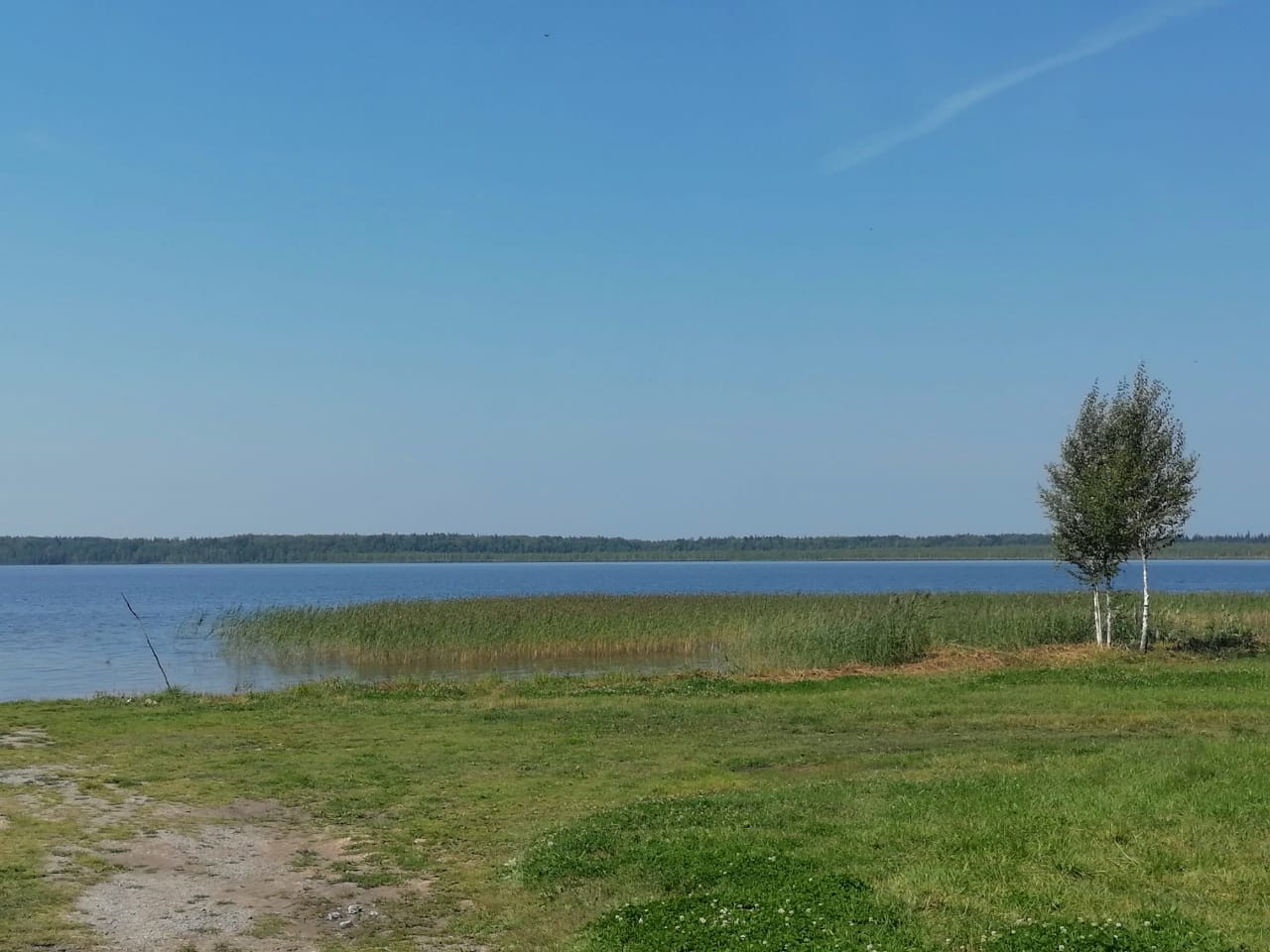 Забор, охрана и катер для борьбы с браконьерами