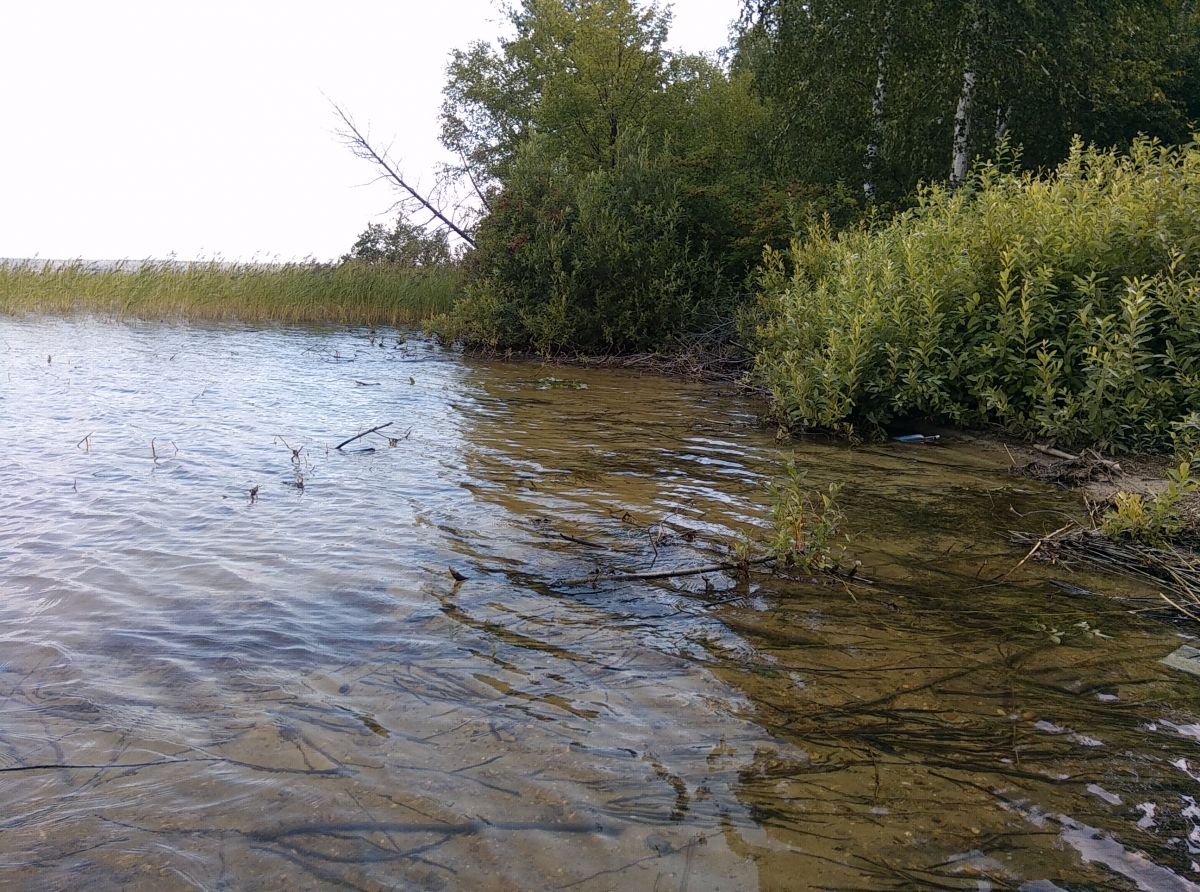 Фото: Василий Ергашев. Прозрачная вода - большая редкость для водоемов района
