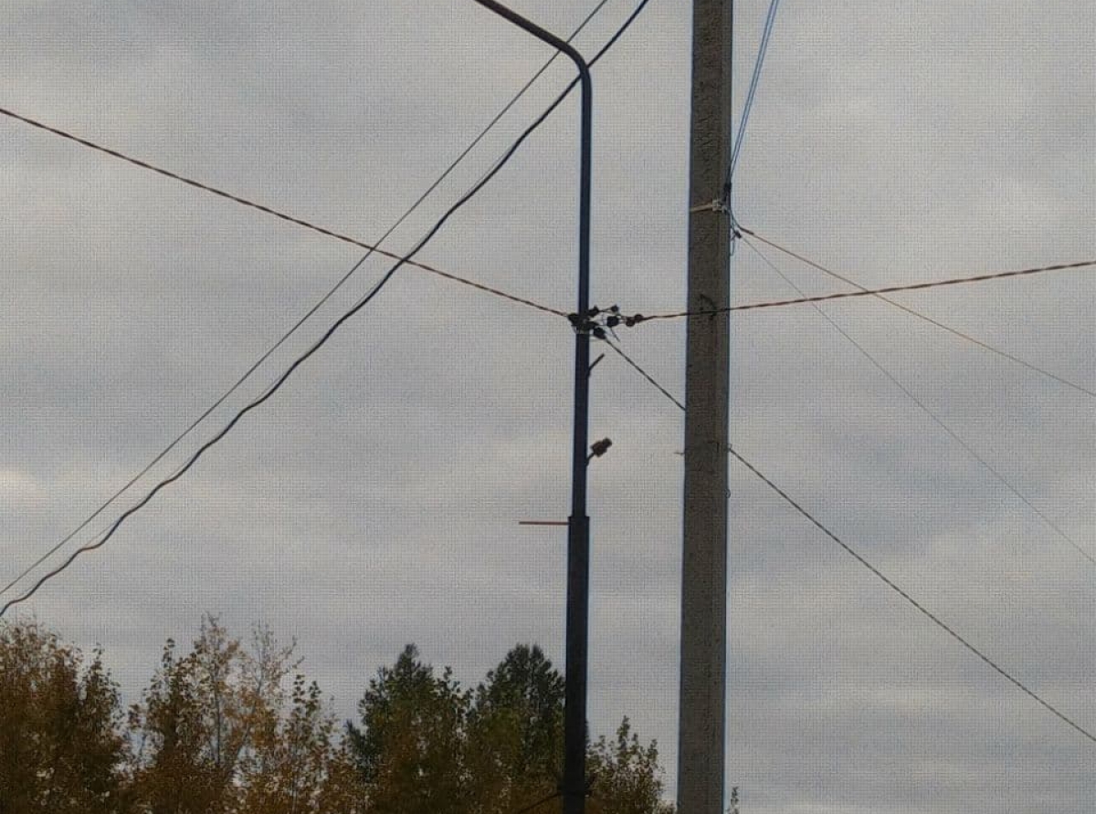 Отключение уличного освещения - временная мера