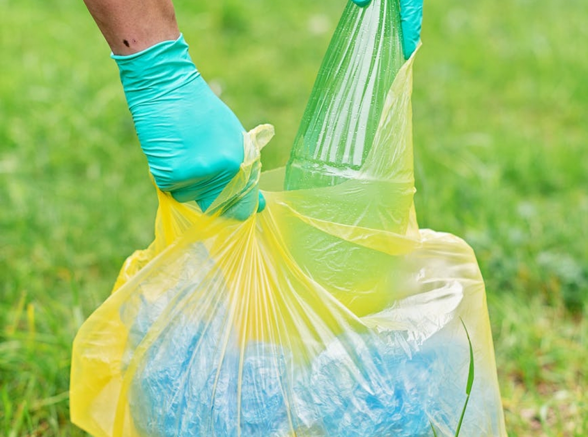 Фото с сайта https://www.pexels.com. Пора перенимать полезный опыт по разделению бытовых отходов