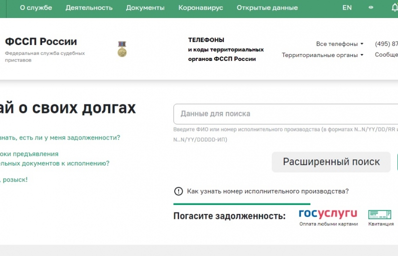Скрин с сайта ФССП. Новый сервис призван облегчить жизнь тем, с кого по ошибке списали чужие долги
