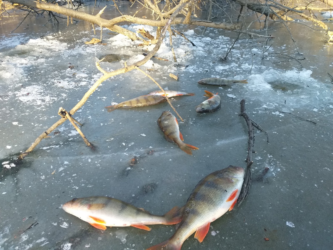 Перволедье: опасно, но жутко хочется пройтись