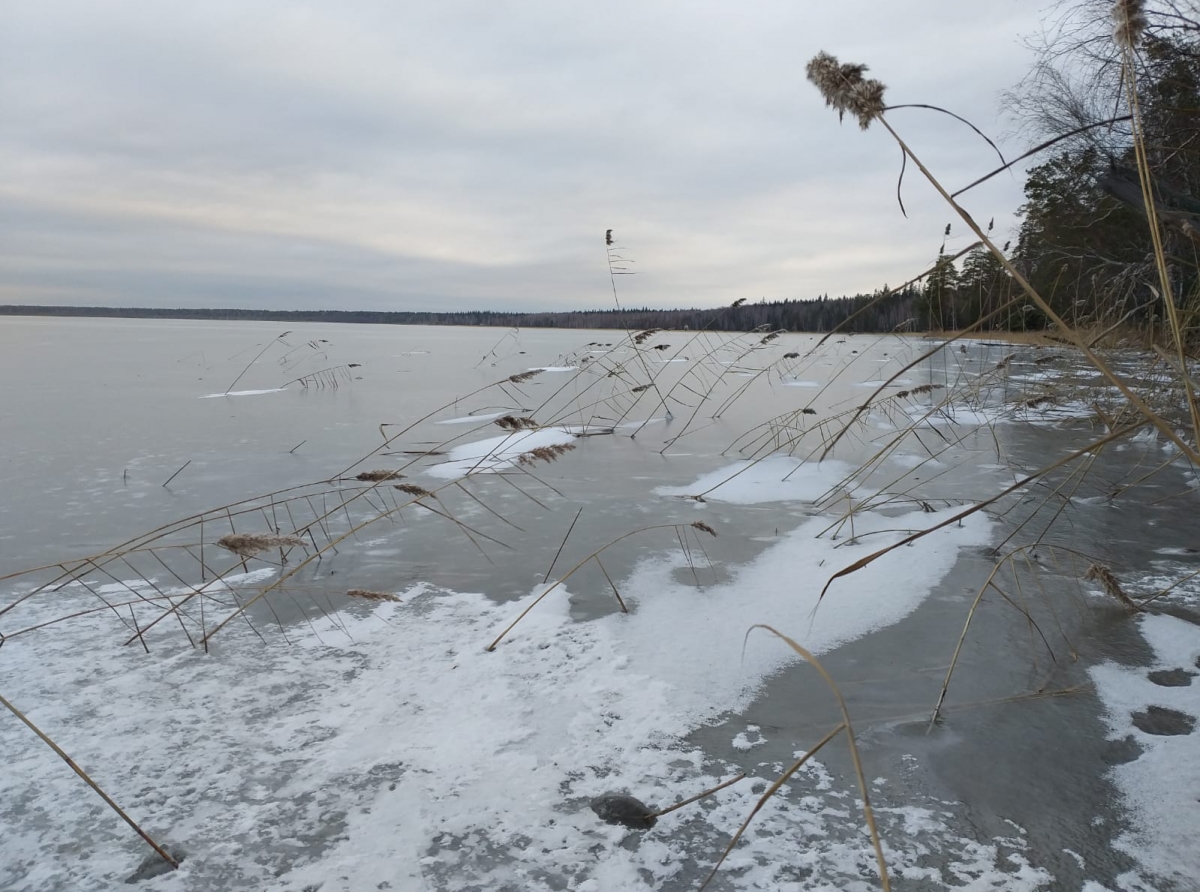 Фото: А. Рожков. Дыхание зимы: постепенно надвигаются холода