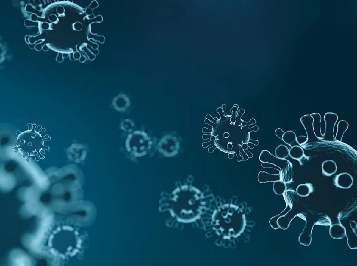 Фото с сайта https://pixabay. Самый лучший способ защититься от опасного вируса - вакцинация.