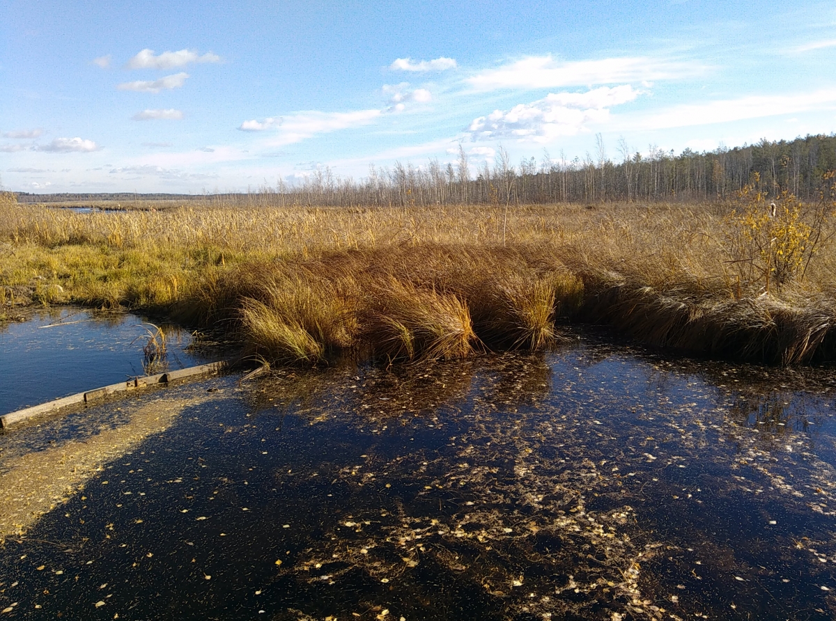 Фото: Василий Ергашев