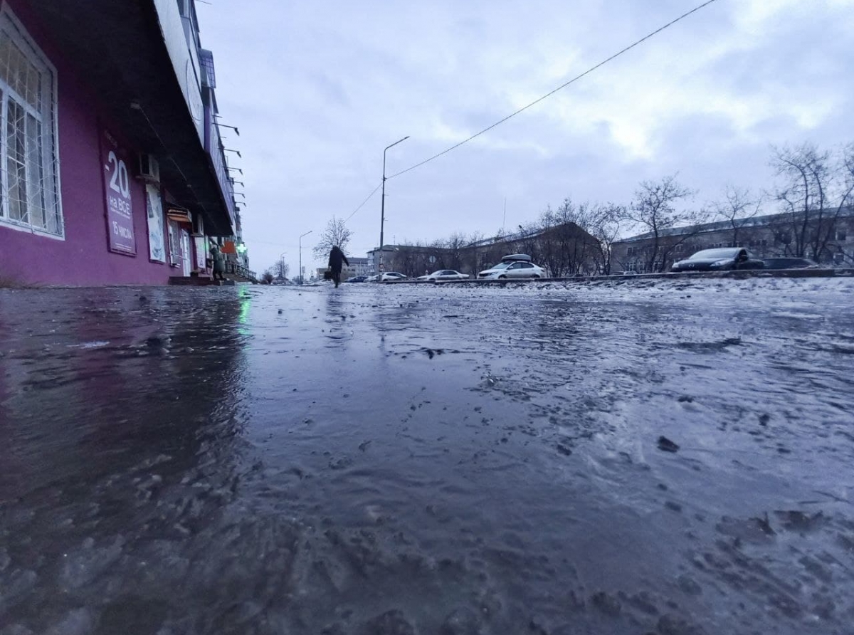Фото Галины Таскиной. На календаре - первый день зимы. Ночью шел дождь, утром все обледенело.